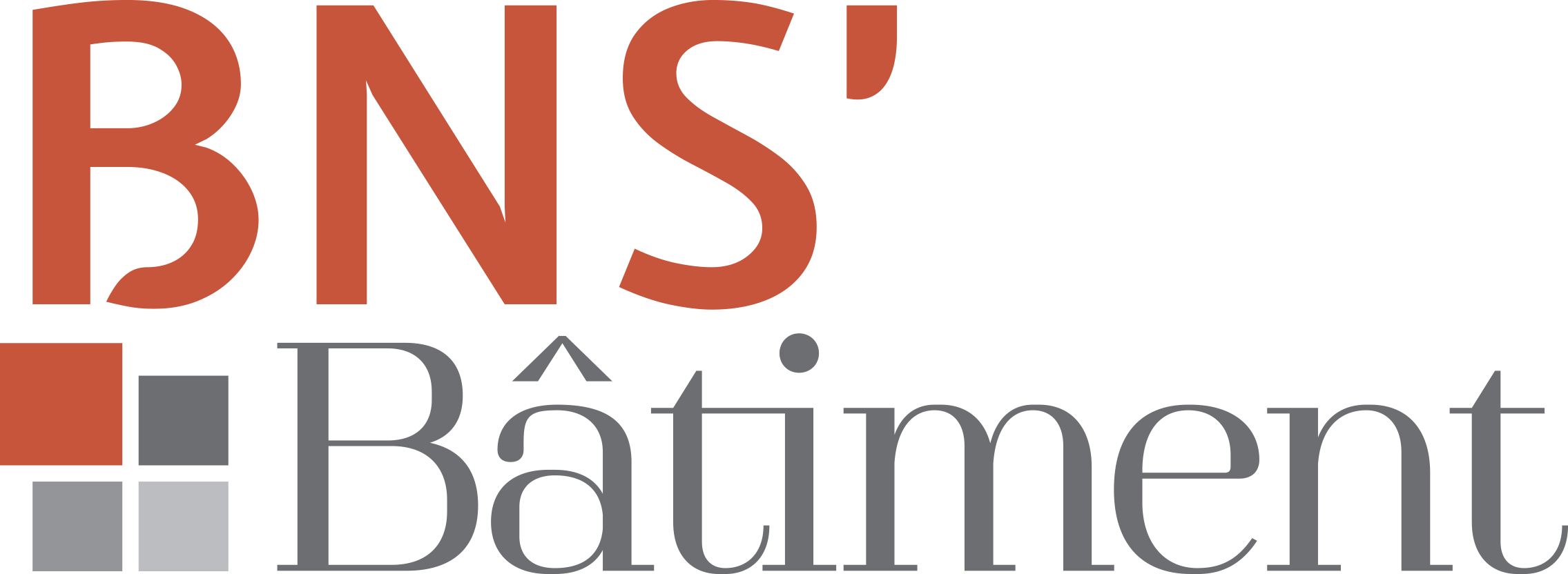 BNS'Bâtiment
